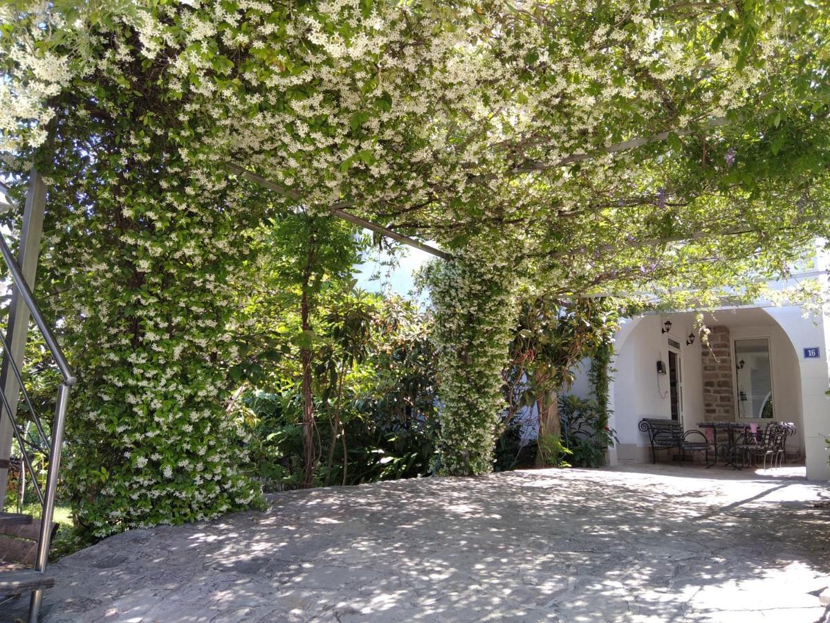 Apartments Simovic تيفات المظهر الخارجي الصورة